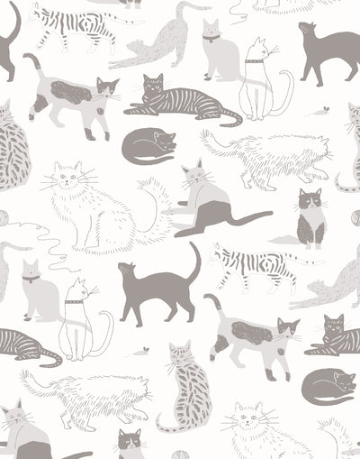 Cat's Meow (Gray) featuring illustrated cats in shades of gray on white designed by Julia Rothman