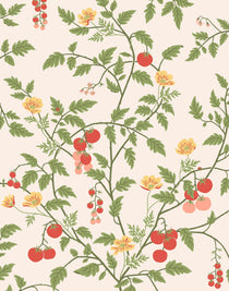 Our Heirloom wallpaper celebrates the annual arrival of tomato season. Highly durable, fade resistant, and made in the USA. This wallpaper features red and pink tomatoes, yellow flowers and green vines on a pink background and was created in collaboration with The Aesthetics of Joy.
