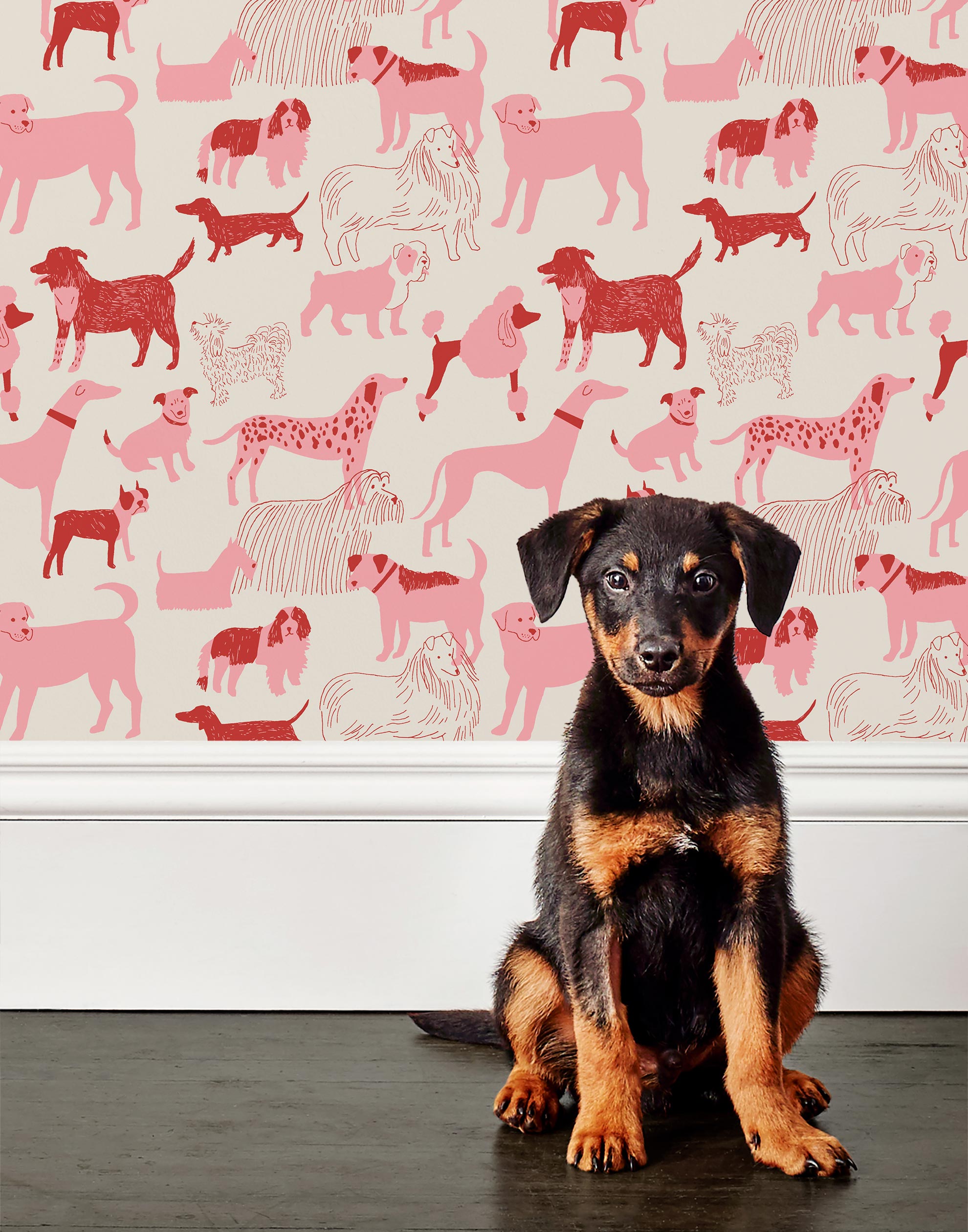 Find your favorite furry friend in our Dog Park pattern, designed in collaboration with Julia Rothman. This wallpaper features red and pink dogs on an off white background.
