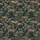 Featuring vibrant blossoms set against lush foliage, the elderberry plant is the inspiration for this wallpaper. Elder (Ebony) is printed with rust and cream flowers and green leaves on a black background.