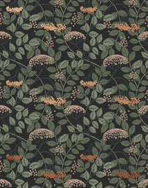 Featuring vibrant blossoms set against lush foliage, the elderberry plant is the inspiration for this wallpaper. Elder (Ebony) is printed with rust and cream flowers and green leaves on a black background.