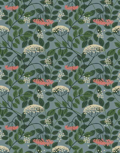 Featuring vibrant blossoms set against lush foliage, the elderberry plant is the inspiration for this wallpaper. Elder (Sky) is printed with pink and white flowers and green leaves on a blue background.