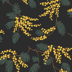 Wallpaper with yellow acacia flowers and green leaves on a soft black background | Schoolhouse + Hygge & West