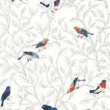 Field Guide Wallpaper