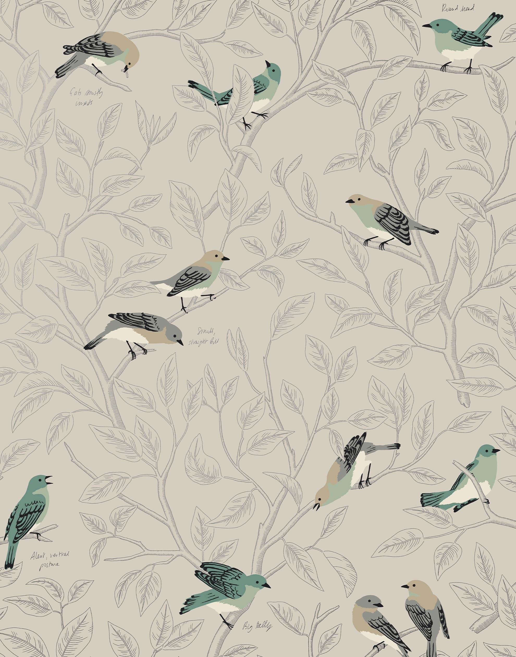Field Guide Wallpaper