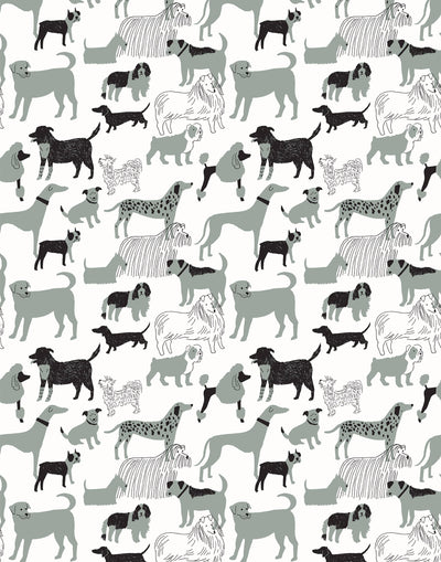 Dog Park (Gray) wallpaper featuring illustrated dogs in shades of gray on white designed by Julia Rothman