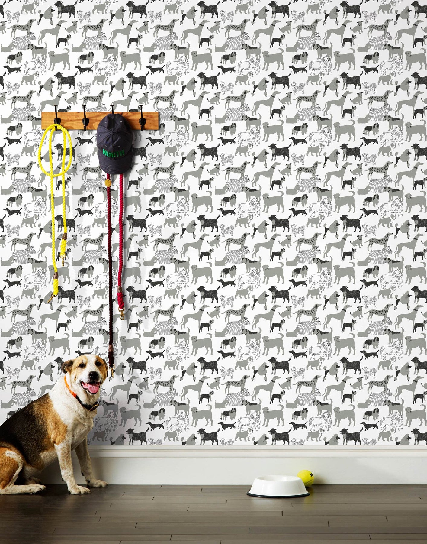 Dog Park Wallpaper | Hygge & West