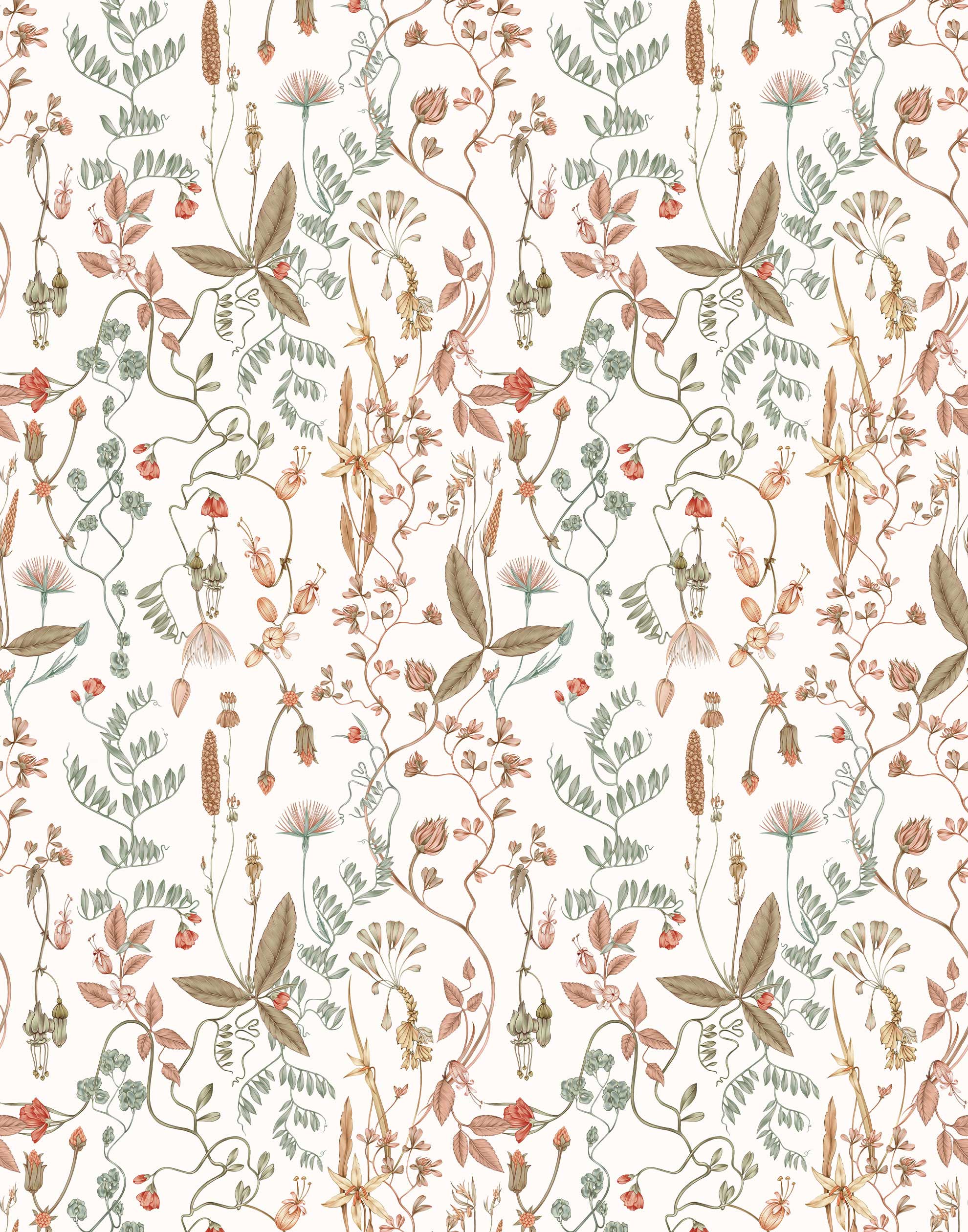 Sonoma (White) wallpaper with rust, green and brown flowers and leaves on a true white background