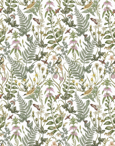 Secret Garden (White) wallpaper features shades of green, brown and pink plants, birds and butterflies on a true white background