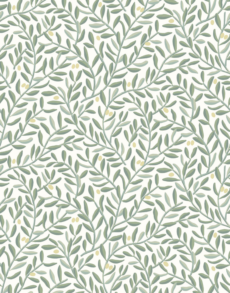 Olive Leaf Peel and Stick Wallpaper Floral Wallpaper 177x787Modern  Removable Wallpaper Peel and Stick Floral Contact Paper Decorative Self  Adhesive Watercolor Leaf Wall Paper Home Decor Vinyl Film  Amazonin Home  Improvement